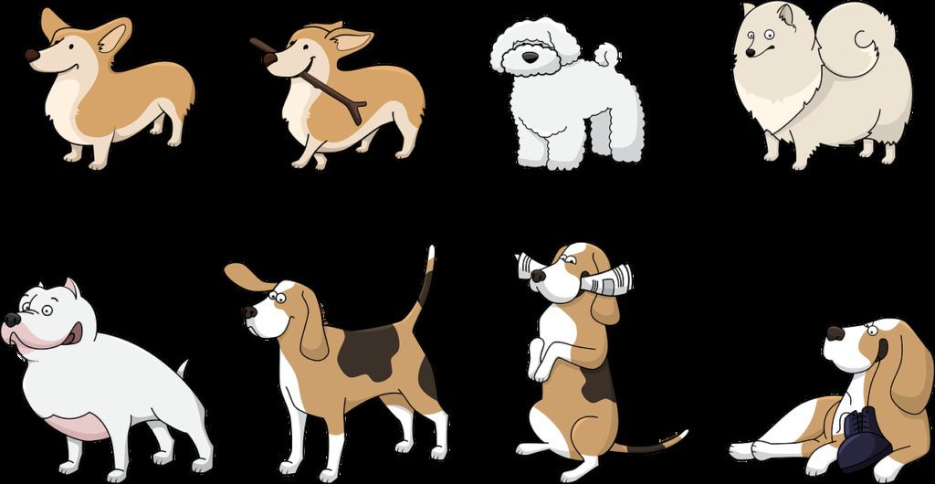 dog, animal, corgi